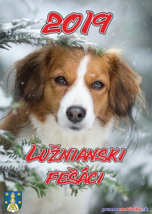 Kalendár 2019 Lužnianski fešáci